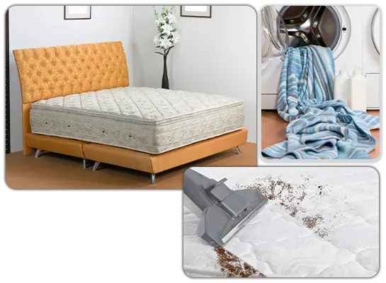 professional mattress cleaner near me