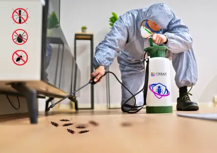 Pest control service Karachi