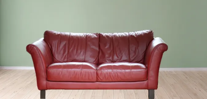 Couch Cleaning Services